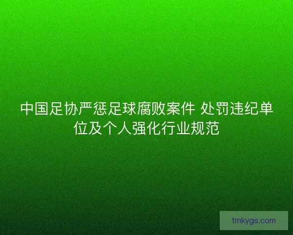 中国足协严惩足球腐败案件 处罚违纪单位及个人强化行业规范